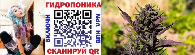 Купить наркотик аптеки Раменское Cocaine  Alpha-PVP  ЭКСТАЗИ  МАРИХУАНА  ссылка на мегу tor  Метамфетамин 