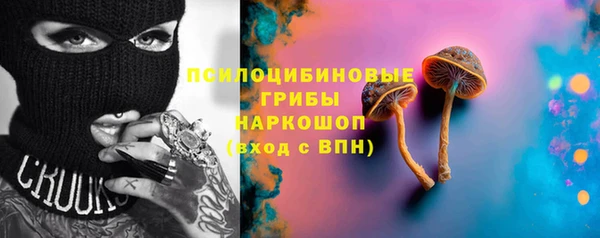 сатива Верхнеуральск