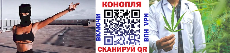 Канабис OG Kush Раменское
